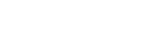Techdinamics_logo_white_100h