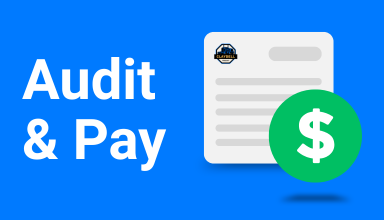 Audit & Pay