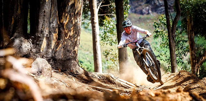 troy-lee-image-1